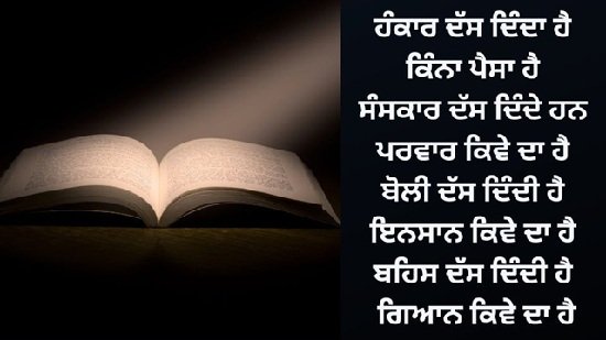 Shayari Punjabi Attitude: Expressing Confidence and Swagger in Words