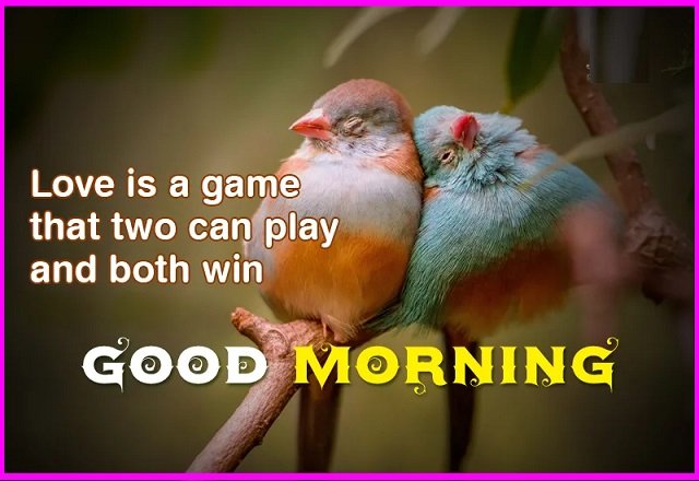 Today Special Good Morning Images | Best HD Images & Quotes