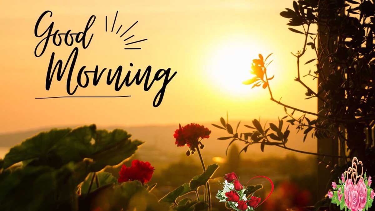 Good Morning Images New Style – Latest HD Pictures & Stylish Wishes 2025